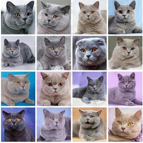 Diamond Painting Cute Cat 5D Diy Diamond Embroidery Set Rhinestone Animals Mosaic Cross Stitch Art Gift Home Wall Decoration