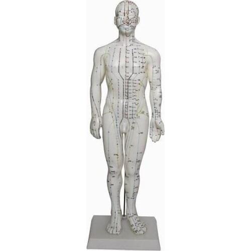 Human acupuncture model 50CM teaching meridian acuity practice teaching simulators