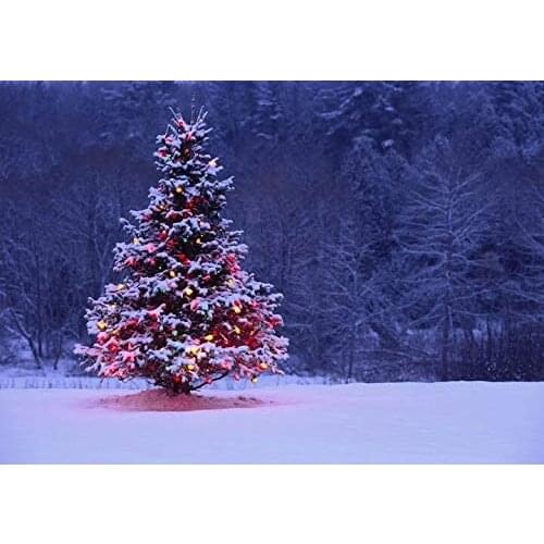 Illuminated Christmas Tree Outdoors Metal Tin Sign Art Holiday Decoration Outdoor & Indoor Sign Wall Decoration Painting