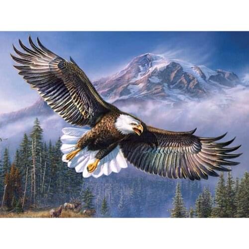 100% Full 5D diy Daimond Painting Animals 3D diamond painting round rhinestones diamant painting embroidery Fly Eagle Home Decor