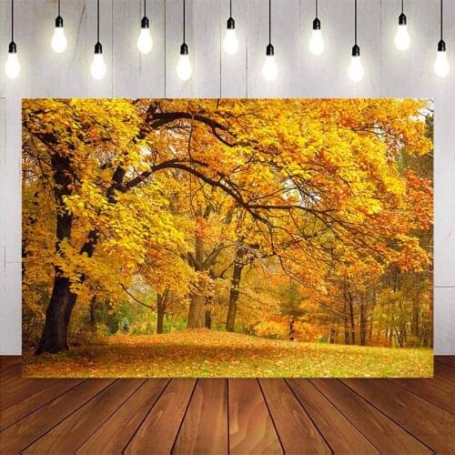 Photography backdrop fall scenery Gold leaves forest Path background for photo studio autumn forest view portrait phtoographic