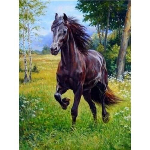 5D DIY Diamond Painting Horse Cross Stitch Kit Full Drill Square Embroidery Mosaic Animal Picture with Rhinestones Home Decor