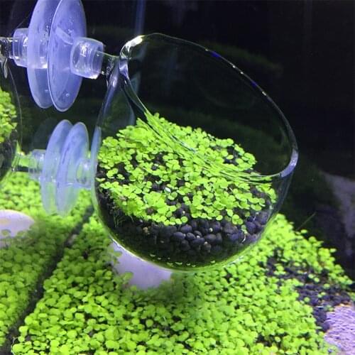 Mini Crystal Glass Aquarium Grass Coral Planting Pot Decoration Fish Tank Water Plant Weed Cylinder Cup Aquarium Accessories
