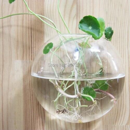 Стеклянные вазы для цветов TZ China At AliExpress