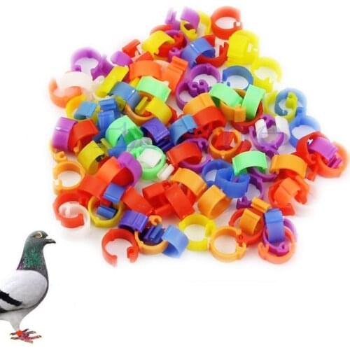 100X Chicken Hen Pigeon Leg Poultry Dove Bird Duck Chicks Parrot Clip Rings Band T8WE