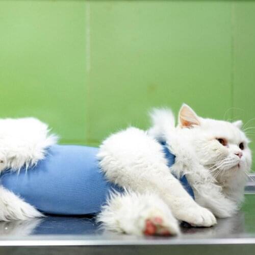Cat Weaning Suit Solid Color Wound Recovery Cotton Anti Licking Postpartum Cloth for Pet Cat Weaning Suit