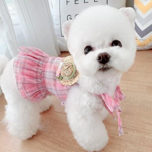 Couple Pet Clothing Summer Boy Dog Jumpsuit Pants Girl Dog Dress Puppy Costume Yorkshire Chihuahua Puppy Small Dog Costume Skirt