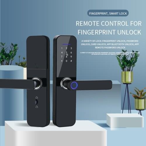 Indoor Fingerprint Lock Household Rental Room Door Lock Smart Lock Bedroom apartment graffiti version pass lock version password