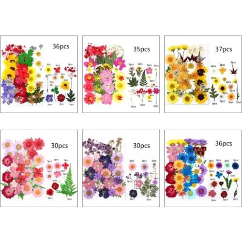 37pcs Dried Flowers UV Resin Decorative Natural Flower Stickers 3D Dry Beauty Decal Epoxy Mold DIY Filling Making Craft Jewelry