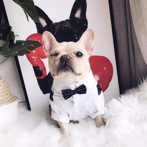 Superpaw T-shirts For Dogs China