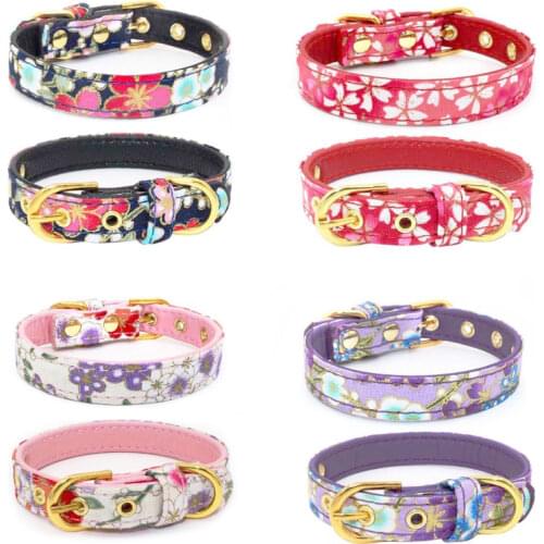 Hoopreety Collars