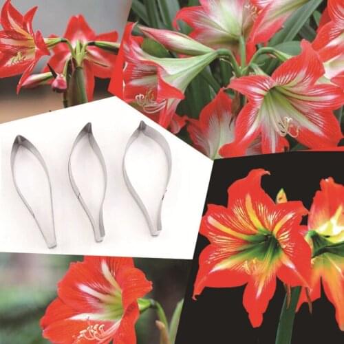 Hippeastrum 3Pcs Stainless Stell Cookie Cutter Pastry & Biscuit Baking Cutter Cake Decorating Tools Cupcake Mold Fondant Tools