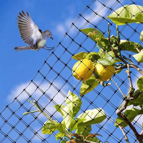2x6/10/15m Anti Bird Catcher Netting Net Bird-Preventing Traps Crops Fruit Tree Flower Garden Mesh Protection