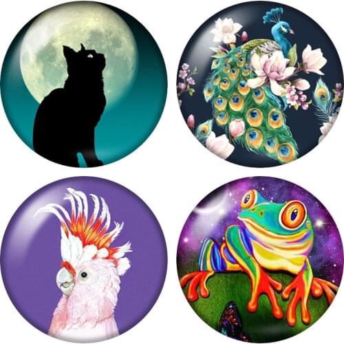 ZB1391 New parrot cat peacock frog butterfly 10pcs 12mm/16mm/18mm/25mm Round photo glass cabochon demo flat back Making findings
