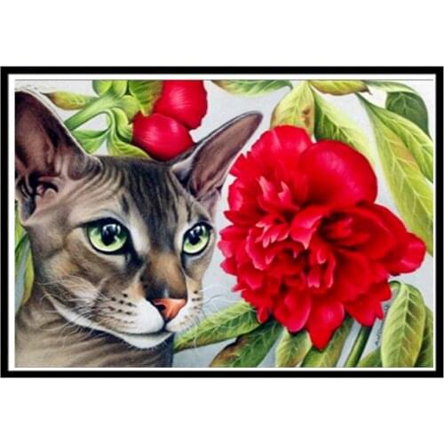 5D diamond painting full diamond cat and rose round diamond mosaic pattern home decoration DIY handmade