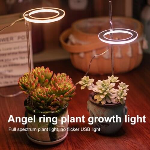 RUOCLN Plant Lamps