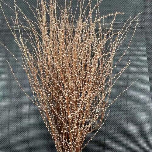 30~45CM,About 35g/bundle Dried Snow Twig,Natural Flowers Wheat Grass Bouquet,Dry Cane Branch,Home Decor,Decoration Accessories
