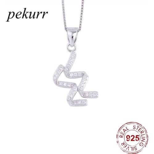 Pekurr 925 Sterling Silver Aquarius Horoscope Zircon Necklace For Women Constellation Pendants Zodiac Sign Jewelry