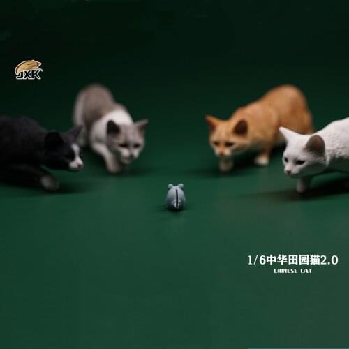 JXK 1/6 Chinese Garden Cat 2.0 Model Felis Catus Figure Pet Animal Model Collector Handmade Toy for Children Adults Kids Gift