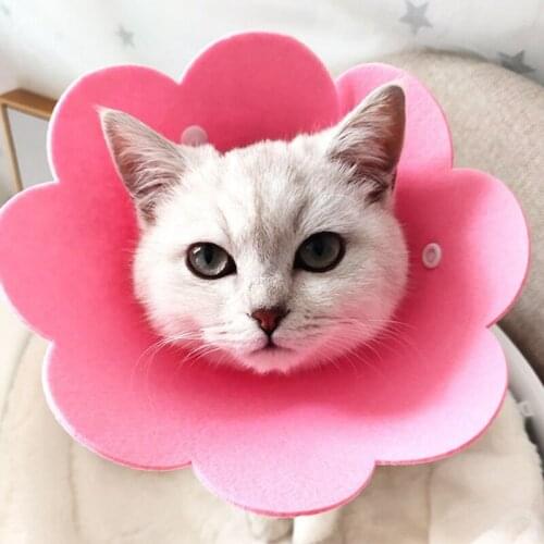 2Pcs/Set 1 Piece Sunflower Adjustable Cat Elizabeth Collar Anti Bite Protect Bath Photo Cat Collar Light Soft Pet Small Dogs