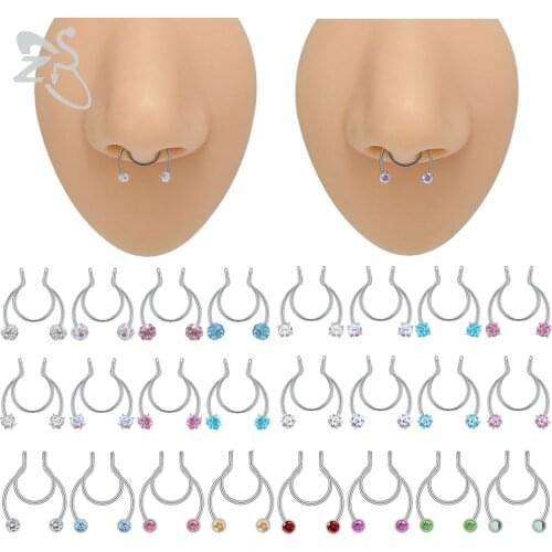 ZS 1 Piece Stainless Steel Fake Nose Ring 3/4MM Crystal Star Heart No-Pierced Septum Ring 20g Fake Hoop Septum Piercing Jewelry