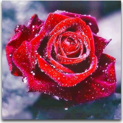 Colored Flowers DIY Embroidery 11CT Cross Stitch Kits Needlework Craft Set Cotton Thread Printed Canvas Home Decoration Room