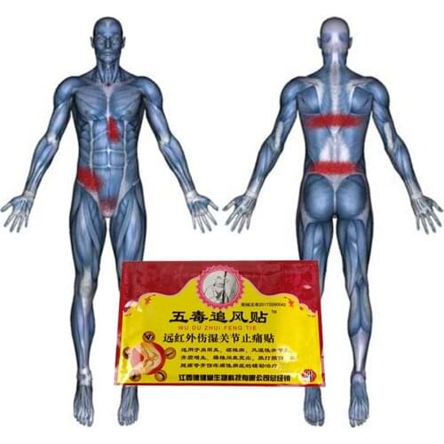 Arthritis/Joint Analgesic Plaster 8Pcs Snow Toad Far IR Meridians Patch Rheumatoid Arthritis Lumbar Pain Relief Patch Wholesale