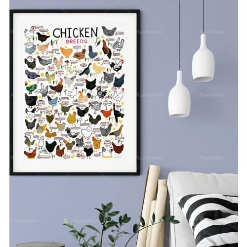 Chicken Breeds-Country Art Prints Wall Art-Chicken Animal Outdoor Nature Farm Gift Home Decoration Poster