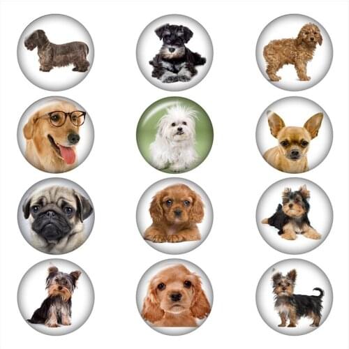 DOG 10pcs mixed 12mm/18mm/20mm/25mm glass snap button Round photo glass cabochon demo flat back Making findings A6615