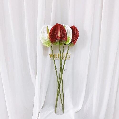 Natural and fresh flowers Anthurium and powder palm home desktop display flowers wedding decoration floral photography props
