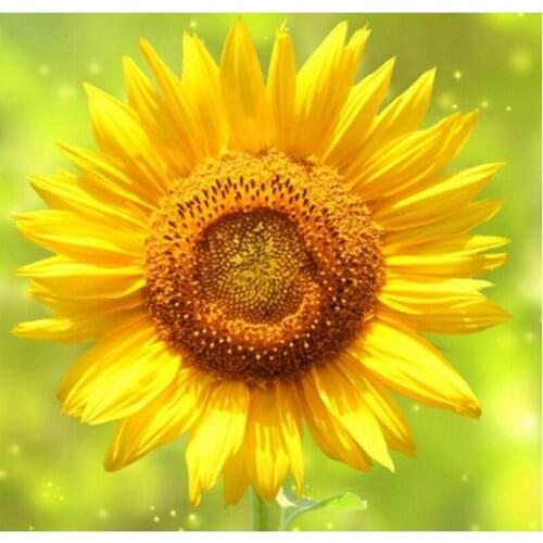 Diy 3D Diamond Painting Square Diamond Embroidery Flower Complete Drill Needlework Craft Rhinestone Cross Stitch Mosaic Painting