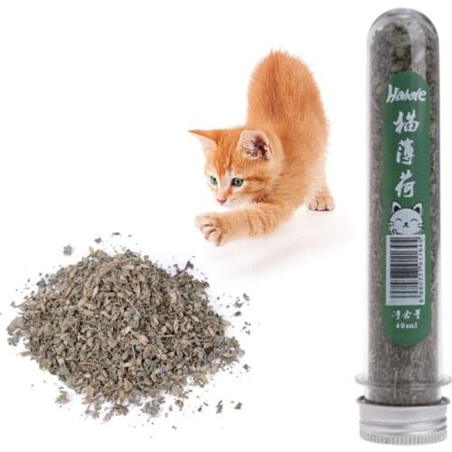 40ml 100% Natural Organic Cat Mint Cattle Grass Kitten Menthol Flavor Snacks Cat Catnip Funny Pet Cat Playing Treat Toy