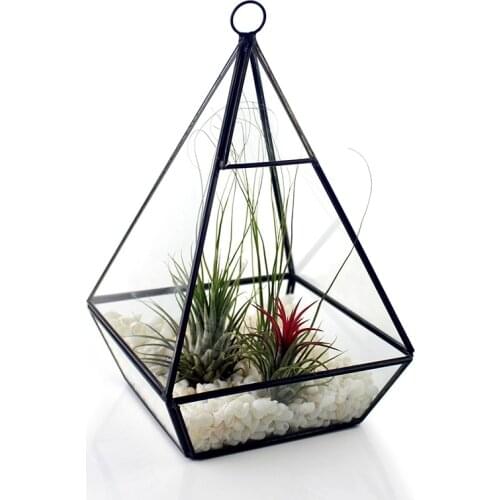 Стеклянные горшки Glawaer China At AliExpress