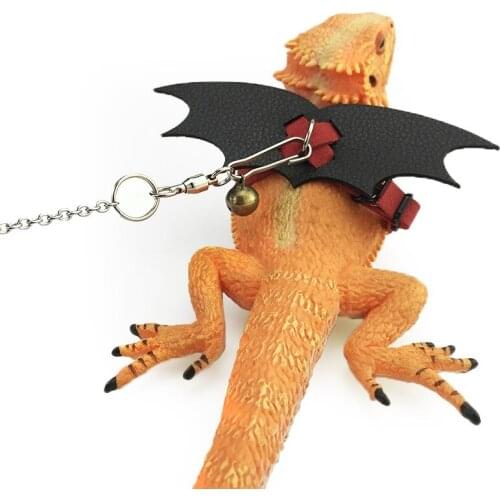 Lizard Climbing Pet Traction Rope Out Thickened Special Chain Strap Simple Wings and Convenient