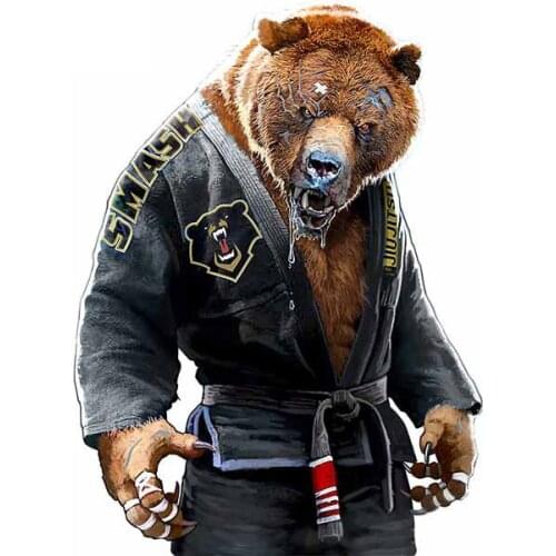 Fuzhen Boutique Decals Exterior Accessories Grizzly Jiu Jitsu Vinyl Car Sticker Air Conditioner Fine Motorcycle Waterproof Decal