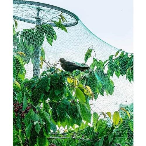 Garden Netting Green Woven Mesh Protect Plants Fruits Flowers Trees Stretch Fencing Durable Net Stops Birds Deer Animals 5/10M