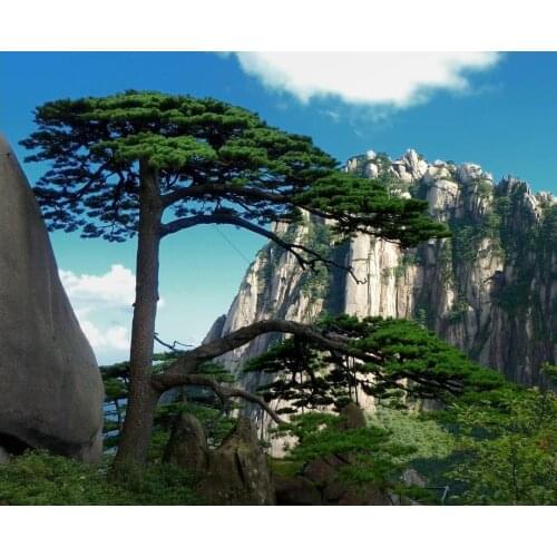 Mountain tree diamond painting scenery rhinestone embroidery landscape mosaic sticker decor diamond dots poster wall paper diy