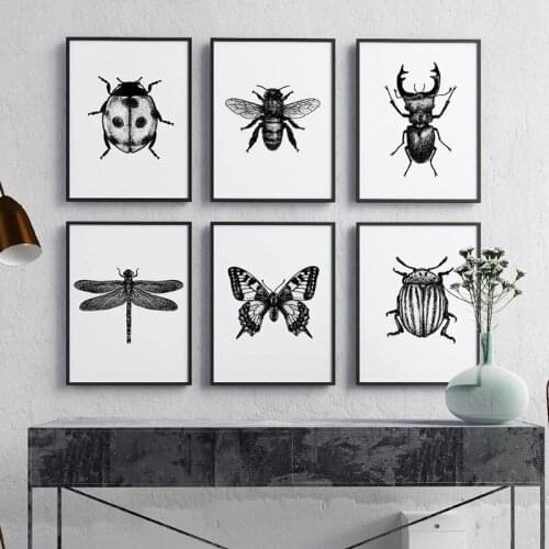 Still Life Insect Black and White Butterfly Bee Insect Canvas Painting Posters and Prints Wall Art Pictures Home Decoration
