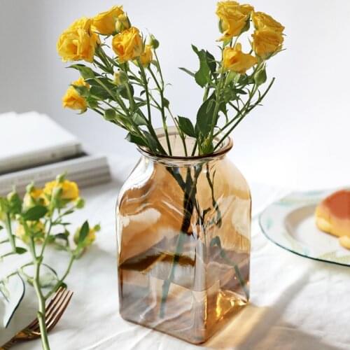 Multicolor Glass Vase for Living Room Dried Flowers Nordic Transparent Europe Home Decoration Home Flower Tabletop Vases