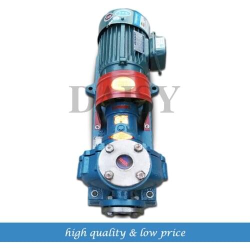 750W High Temperature Gear Oil Pump