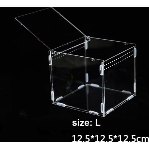 Acrylic Reptile Spider Lizard Scorpion Centipede Horned Frog Gecko Beetle chameleon Insect Breeding Box