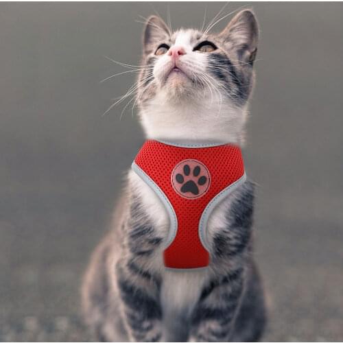 Breathable Paw Print Cat Dog Harness Reflective Puppy Pet Cat Vest Harness Adjustable For Small Medium Dogs Cat Pug Bulldog