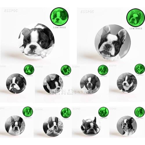 5PCS 1 Pcs DIY Dog 25MM Luminous Glass Dome Jewelry Accessories DIY Bulldog Pendant Round Cabochon Making Gift for Pet Lover