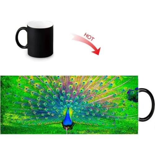 Customized Ceramic Coffee Mugs Peacock Milk Tea Magic Color magic Mug Heat Sensitive Color Changing Water Cup 12oz