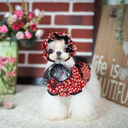 Dog Dresses Burgundy Lolita Floral Palace Style Suit Pet Clothes Spring and Autumn Cotton Teddy Dress Puppy Pets Dog Clothes