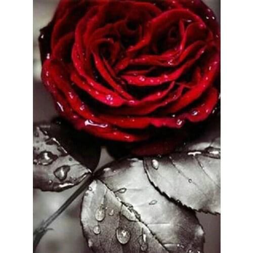 5D DIY Diamond Painting Flower Full Square/Round Diamond Embroidery Rose Rhinestone Mosaic Decoration Picture Cross Stitch Kit