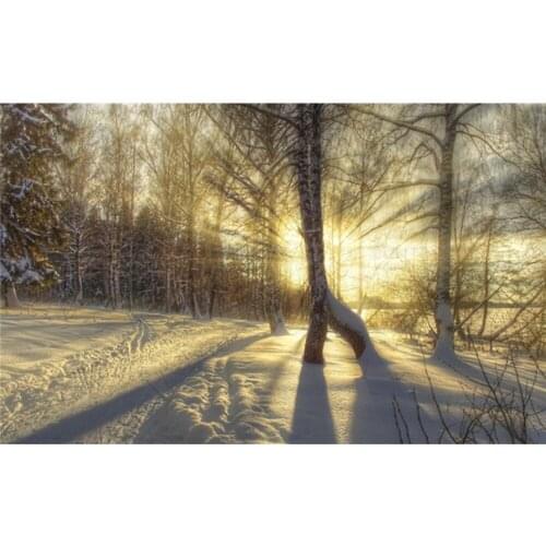 Diamond embroidery, diamond mosaic, bedwork, Kits for embroidery,Square and full Diamond Painting, Snow, forest & sunshine 7662R