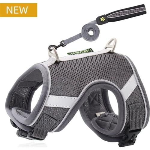 Dog Harness Leash Set for Small Medium Big Dogs Cat Pet Accessories Vest Puppy Chest Strap Pug Chihuahua Bulldog Dog Accessories