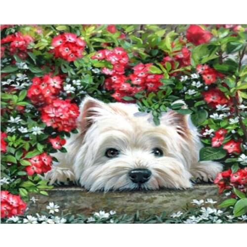 Painting By Number 40X50 50x65CM Flower From The Dog Animal Wall Art Gift DIY Pictures By Numbers Canvas Kits Home Decoration