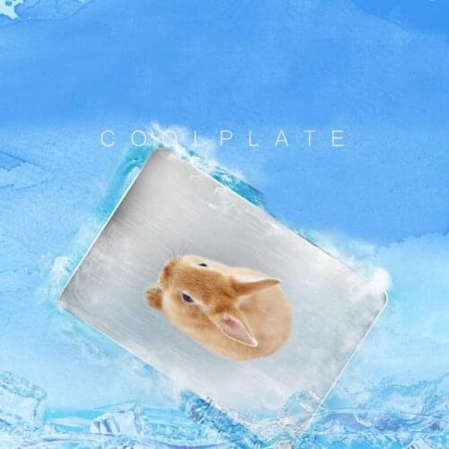 Stainless Steel Hamster Rabbit Mouse Cooling Mat Multifunctional Small Animal Hygienic Ice Bed for Cage Supplies